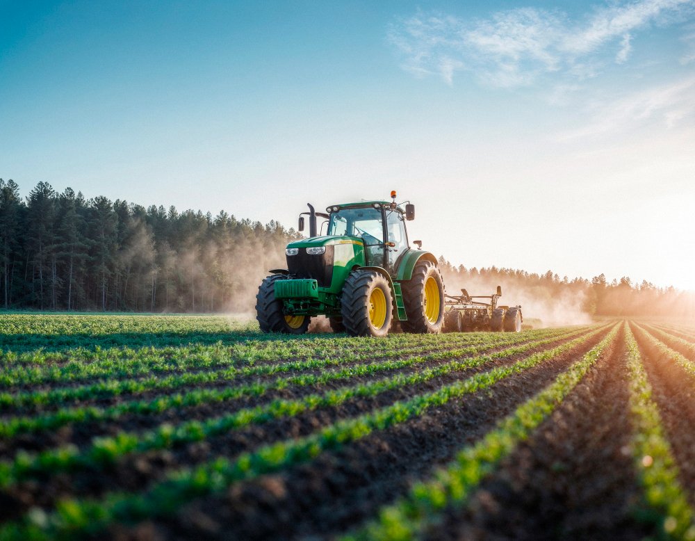 Citsa Agriculture | How Citsa Tarım Specialty Powder Products Enhance Fertilization Programs Citsa Agriculture | How Citsa Tarım Specialty Powder Products Enhance Fertilization Programs