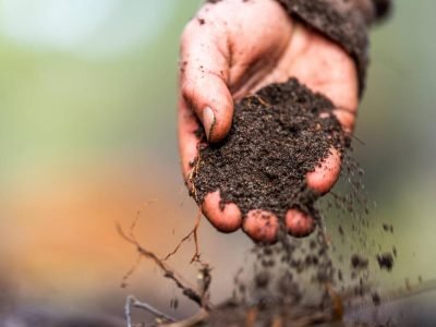 Same Field, Different Needs: Why Fertilization Should Start With the Soil, Not the Calendar