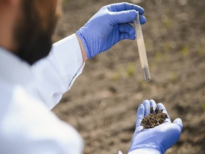 Citsa Agriculture | Why Does Soil pH Matter? How Soil pH Affects Plant Nutrient Uptake
